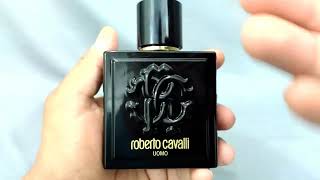 Roberto Cavalli Uomo  Fragrance Review [upl. by Airreis]