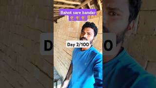 day 2100 days for 1k subscribers challenge ytshorts shorts minivlog challenge govillager [upl. by Ilyk906]