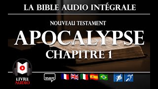 LA BIBLE en AUDIO Intégrale  Apocalypse  Chapitre 1  Nouveau Testament  Français [upl. by Ahsauqram889]