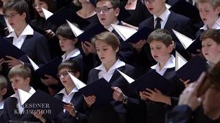 Wolfgang Amadeus Mozart Requiem Februar 2018 [upl. by Ahsenat429]