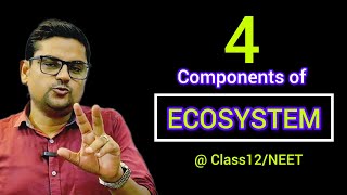 L2 Four Components of Ecosystem  Class 12NEET [upl. by Ettennat]