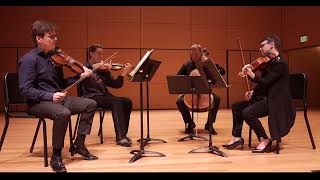 Camerata Beethoven String Quartet in E flat major Op 74 quotHarpquot [upl. by Rimas142]