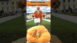 Ludwigsburg Pumpkin Festival 🎃  World’s Largest Pumpkin Show  Kürbisfest 2024 Highlights [upl. by Isnyl]