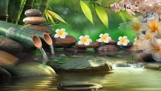 🔴 Relaxing Music 247 Sleep Music Stress Relief Music Spa Meditation Yoga Zen Sleeping Music [upl. by Natividad]