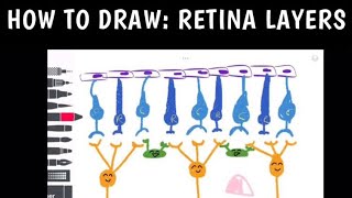 How To Draw Retina Layers  Easy Step By Step Guide [upl. by Nadaba]