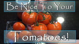 Be Nice To Your Tomatoes  Omas Kitchen Tips [upl. by Bysshe240]