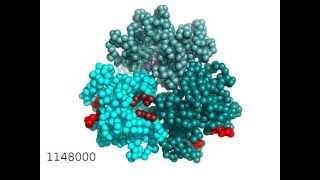 Drug export and allosteric conformational change of multidrug transporter [upl. by Pepita]