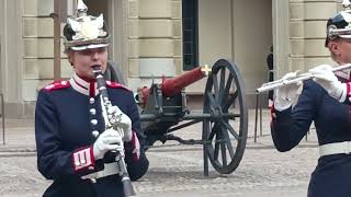 Stoccolma Cambio della guardia a Palazzo Reale 🇸🇪 [upl. by Eisteb]