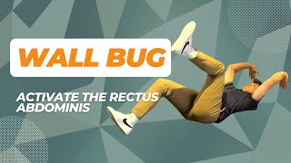 Wall Bug  Activate Your Core and Abdominal Muscles [upl. by Perreault529]