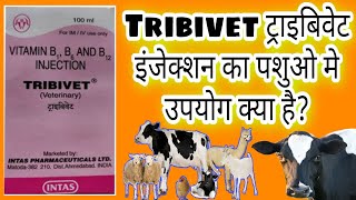 Tribivet injection Veterinary uses in hindi ट्राइबिवेट इंजेक्शन का उपयोग कहां है vet all info [upl. by Audrie]