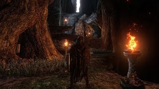 Fantrailer Dark Souls 2  FineFX ENB [upl. by Oah]