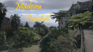 Funchal Madeira [upl. by Alegnave]