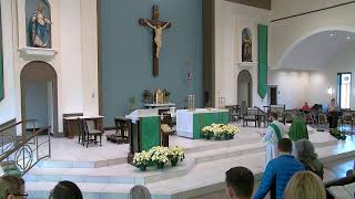 Sixth Sunday in Ordinary Time  Sunday February 11 2024 830 am Mass [upl. by Bartolome278]