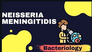 NEISSERIA MENINGITIDIS  Microbiology [upl. by Mellette]