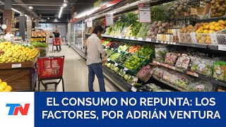 ¿POR QUÉ NO CRECE EL CONSUMO el análisis de Adrián Ventura en TN [upl. by Hanahsuar]