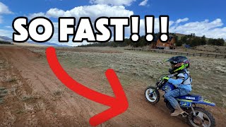 I Built the Fastest 50cc Dirt Bike in The World [upl. by Gard]