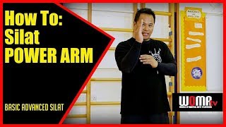 How To Train Devastating Fore Arm Power Maul Mornie SILAT [upl. by Hunger]