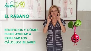 El Rábano increíbles beneficios para la salud y la expulsión de los cálculos biliares  Oralbiomed [upl. by Amalita]