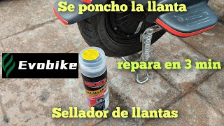 Cómo reparar llanta ponchada de moto electrica SELLADOR ✅ evobike selladordellantas [upl. by Lecirg]