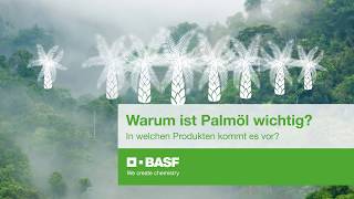 Warum ist Palmöl wichtig In welchen Produkten kommt es vor [upl. by Liagibba]