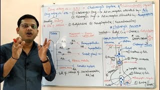 Cholinergic Drugs Part 01  Cholinergic Transmission and Cholinergic Drugs  Cholinergic System [upl. by Noira571]