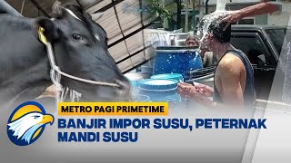 Tak Terserap Industri Peternak Protes Buang Susu Metro Pagi Primetime [upl. by Bradlee]