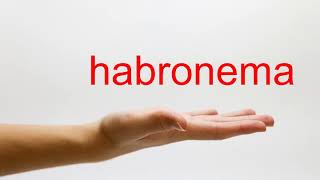 How to Pronounce habronema  American English [upl. by Meuser404]