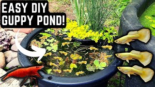 HOW TO BUILD AN EASY DIY GUPPY POND STEP BY STEP TUTORIAL [upl. by Formica]