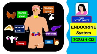 SPM BIOLOGY FORM 4 CHAPTER 12 126 ENDOCRINE SYSTEM [upl. by Aihn823]