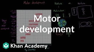 Motor development  Behavior  MCAT  Khan Academy [upl. by Kemble]