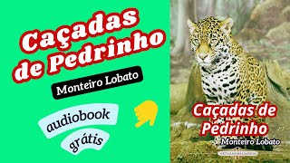 Caçadas de Pedrinho Monteiro Lobato audiobook [upl. by Enaffit16]