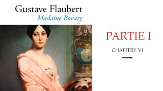 Madame Bovary Gustave Flaubert Moeurs de Province Partie 1 Chapitre VI [upl. by Cir]