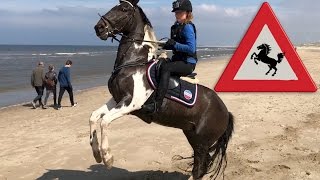 STRANDRIT MET STEIGEREND PAARD  GOPRO LEKKER CROSSEN  Paardrijden met Plezier [upl. by Magnum872]