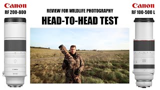 Canon RF 200800 vs RF 100500 Lens Review for Wildlife Photography [upl. by Danny]