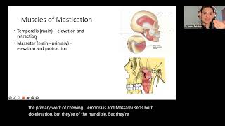 Neuroanatomy NPLEX I Review [upl. by Cornelia197]