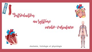 Introduction au système cardiovasculaire [upl. by Noteloc291]