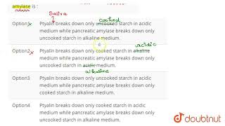 The correct statement about ptyalin and pancreatic amylase is   CLASS 12  NTA NEET SET 31 [upl. by Skip361]