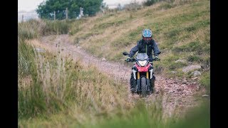 Review  BMW G 310 GS [upl. by Ylelhsa15]