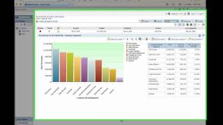 Misys Business Intelligence  Profitability Analysis [upl. by Boccaj446]