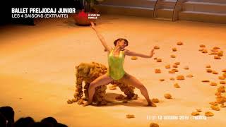 BALLET PRELJOCAJ JUNIOR  LES 4 SAISONS [upl. by Jeane]