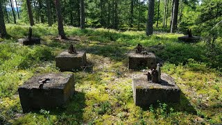 Skogsbrandtorn Brandbevakningstorn Luftbevakningstorn Ärtekleven [upl. by Schaffel]