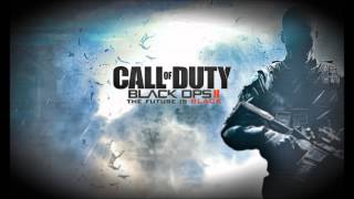 Black Ops 2 Soundtrack  Theme [upl. by Vada299]