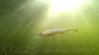 DUOs Lures in Motion 13 Realis Jerkbait 120SP [upl. by Marcile]