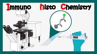 Immunohistochemistry  How to perform immunohistochemistry  application of immunohistochemistry [upl. by Hanyaz]