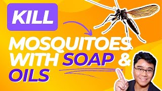 Naturally Kill Mosquitoes with Soap amp Essential Oils [upl. by Limber]