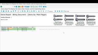 SAP EWM  Technical Development and Functional Customizing ERROR and EXCEPTION Handling [upl. by Malia711]