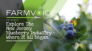 Explore the NJ Blueberry Industry  Where it all Began [upl. by Eninotna]