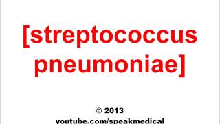 Pronounce Streptococcus Pneumoniae  SpeakMedical [upl. by Farley559]