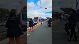 Vline train approaching in Tarneit station enjoyeverymoment shortfeed 2024 victoria au train [upl. by Dalston761]