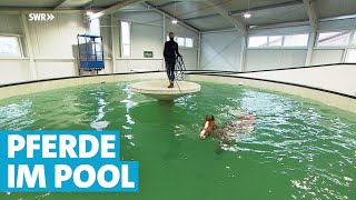 Ein SwimmingPool nur für Pferde in Bingen [upl. by Atirb]